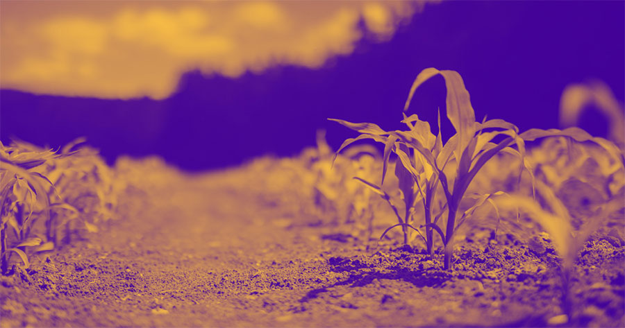 Food for the soil